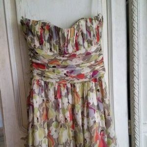 Ted Baker Dancing Ladies Dress (TB 2, US 6)